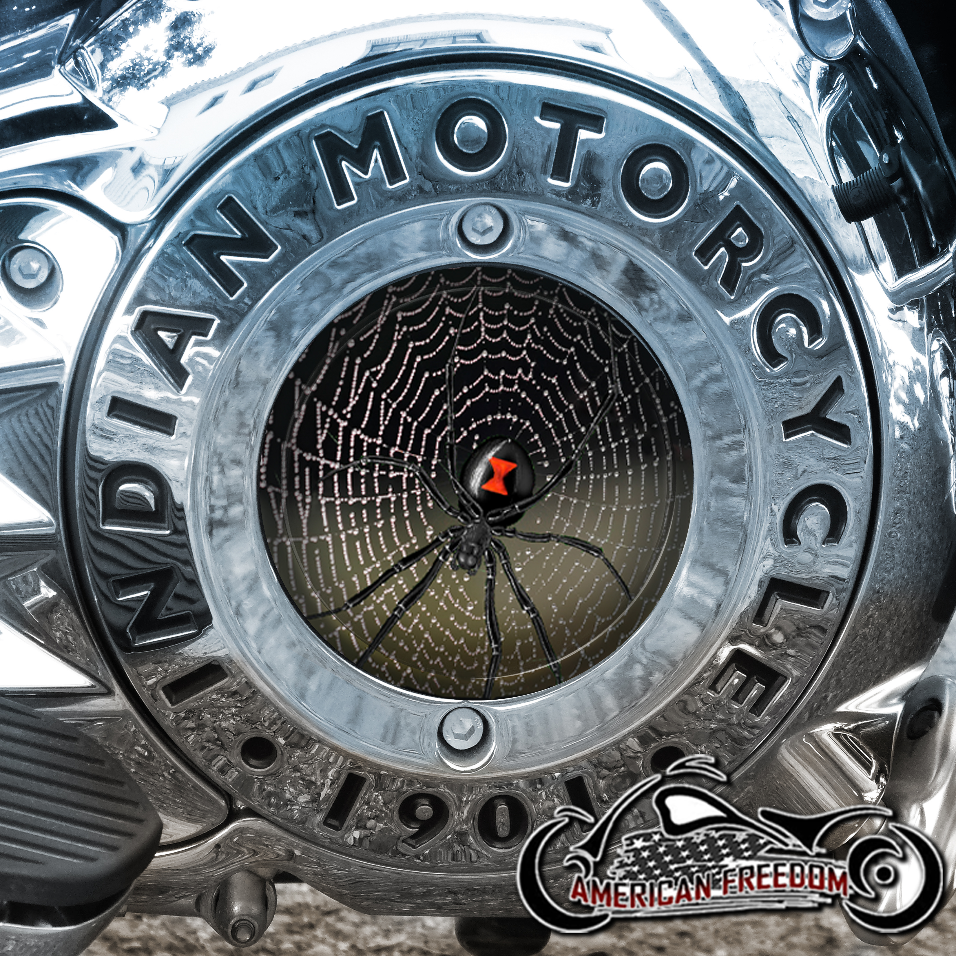 Indian Motorcycles Thunder Stroke Derby Insert - Black Widow Web